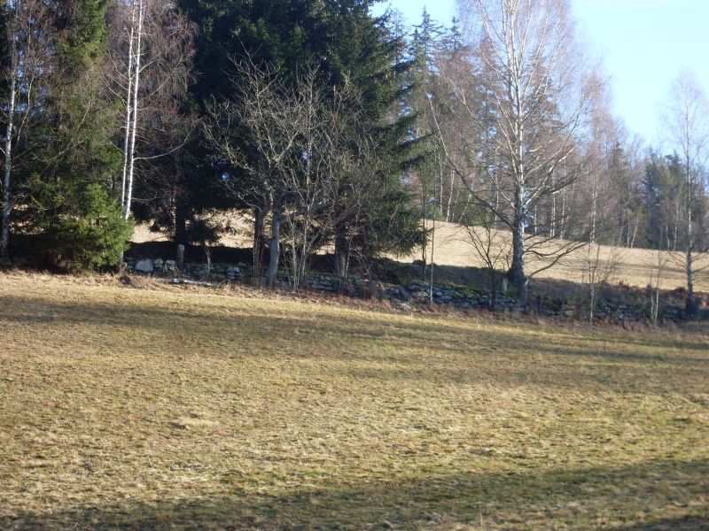 stepan 050.jpg
