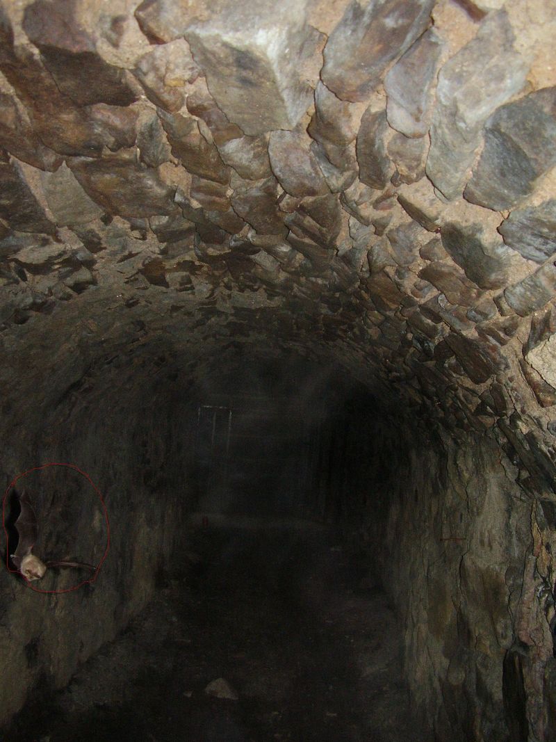 c27.jpg