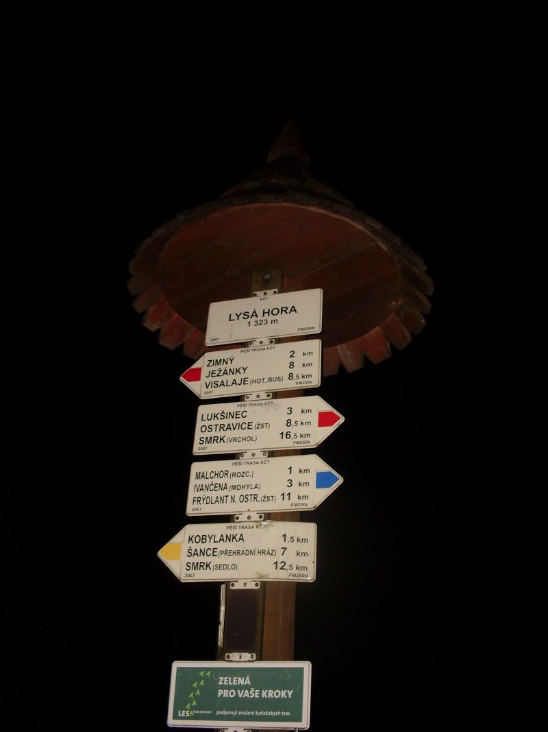 SDC10419